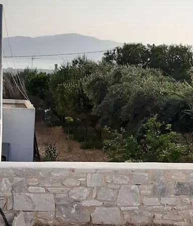 Asimina's House